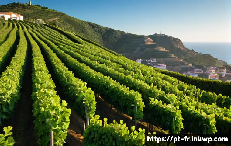 Hidrogénio renovável na indústria: critérios práticos para avaliar projetos, custos e fornecedores 4 그린 수소 산업의 현업 인사이트 관련 이미지 2